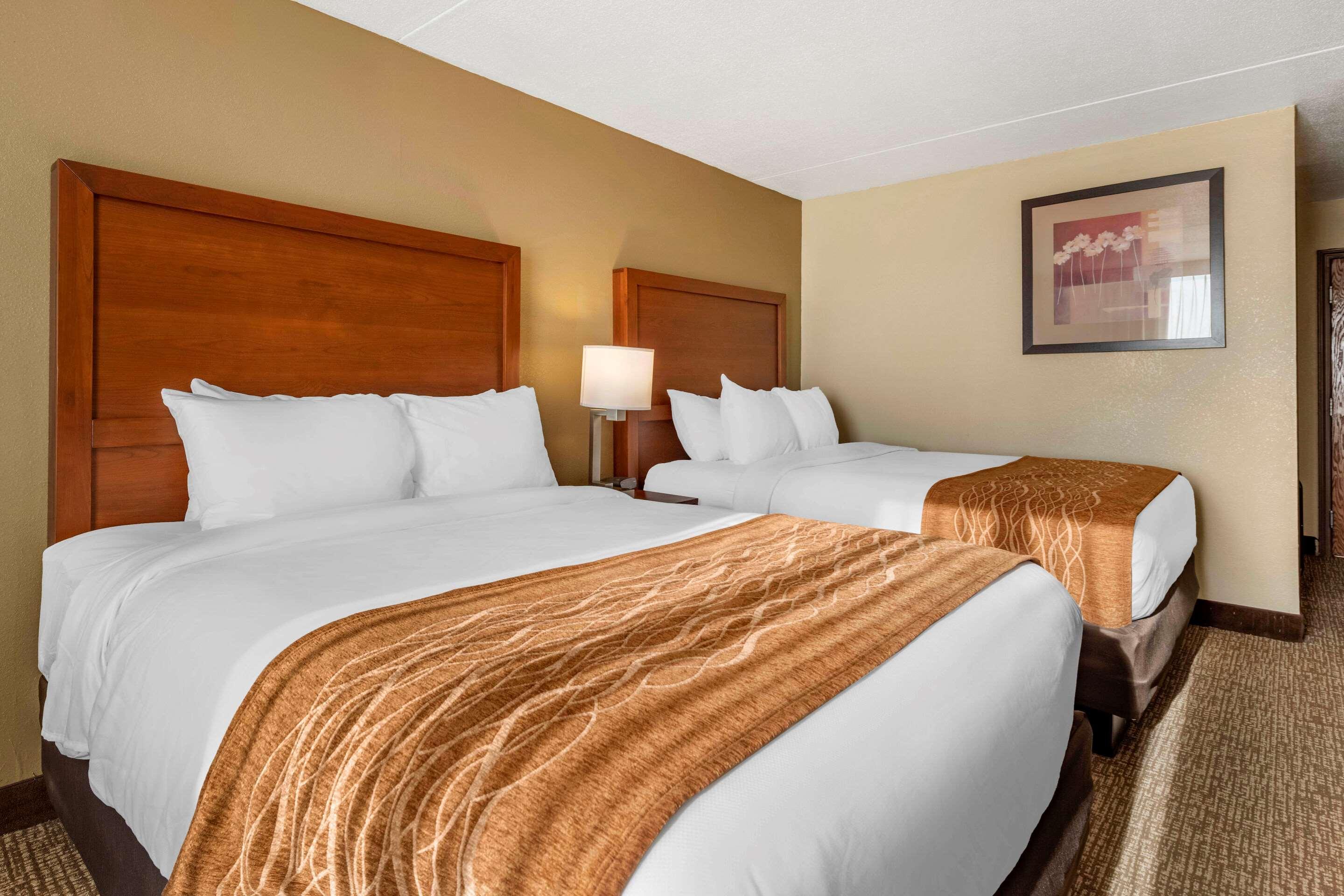 Triadelphia Comfort Inn & Suites מראה חיצוני תמונה