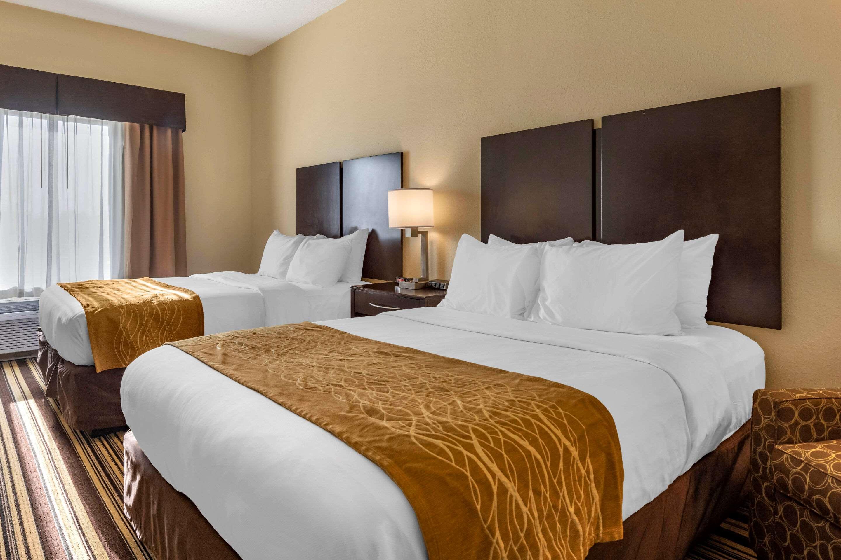 Triadelphia Comfort Inn & Suites מראה חיצוני תמונה